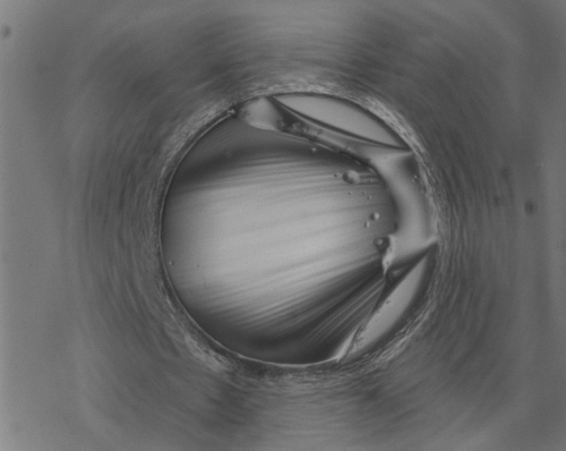 X0000077310481200611101437