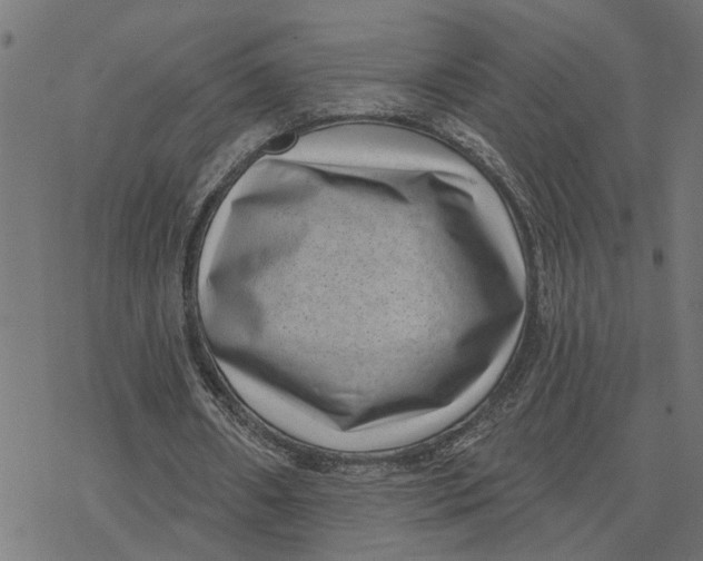 X0000077310482200611101437