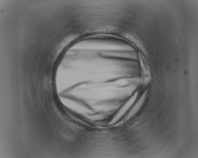 X0000077310483200611101437