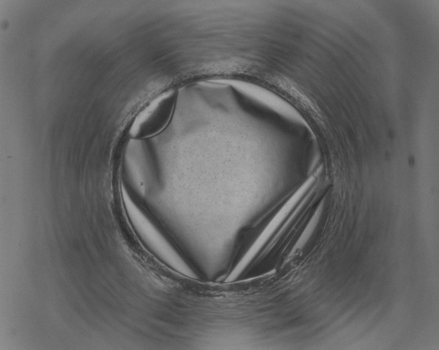 X0000077310486200611101437