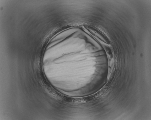 X0000077310491200611101437