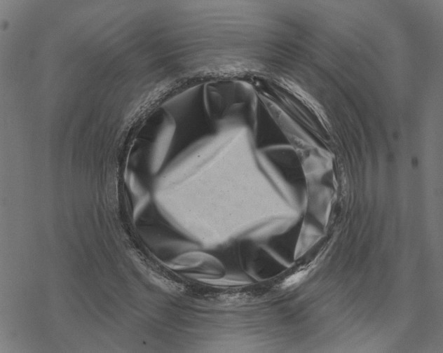 X0000077310493200611101437