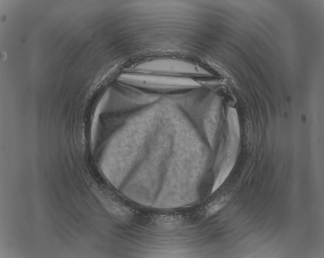 X0000077310494200611101437