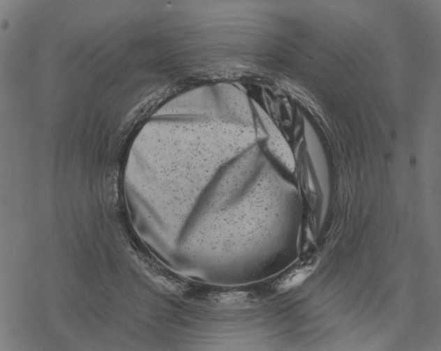 X0000077310501200611101436