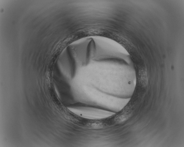 X0000077310506200611101436