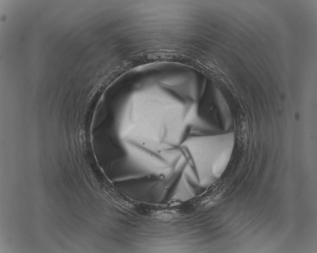 X0000077310508200611101436