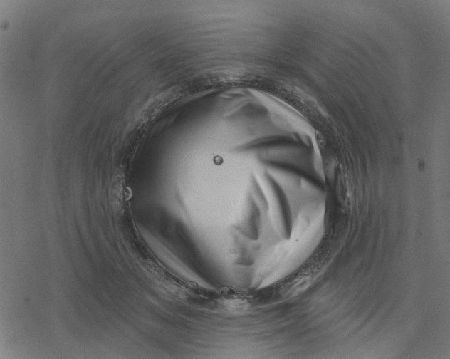 X0000077310509200611101436