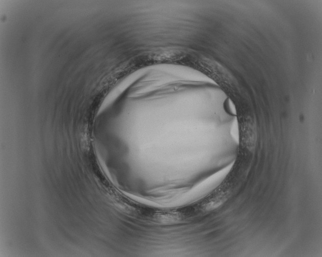 X0000077310510200611101436