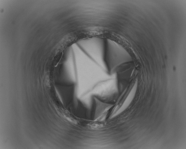 X0000077310512200611101436