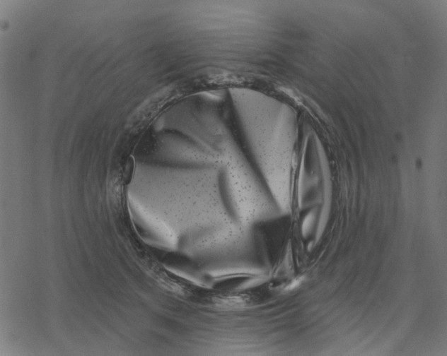 X0000077310513200611101436