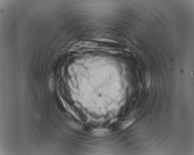 X0000077310515200611101436