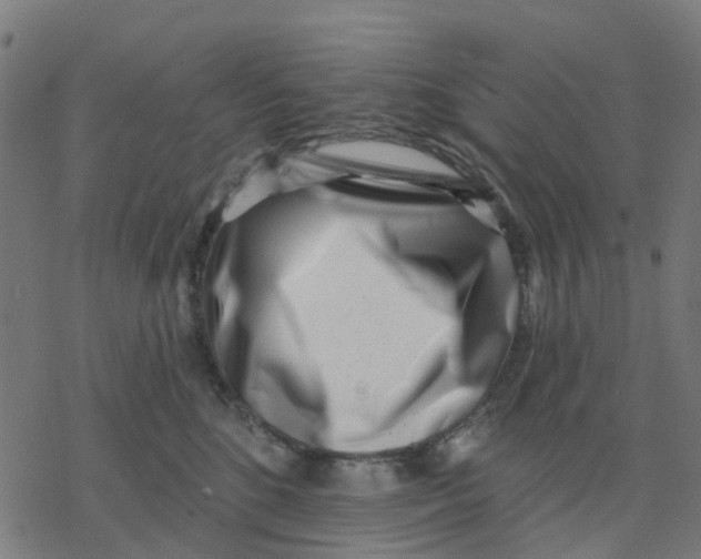 X0000077310520200611101436