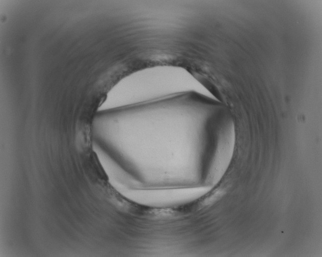 X0000077310528200611101436