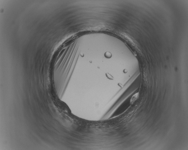 X0000077310532200611101435