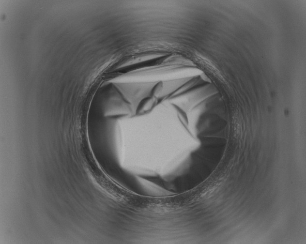 X0000077310538200611101435