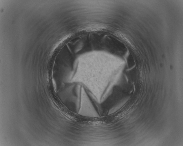 X0000077310539200611101435