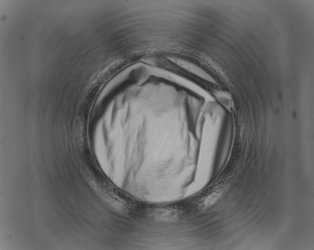 X0000077310542200611101435