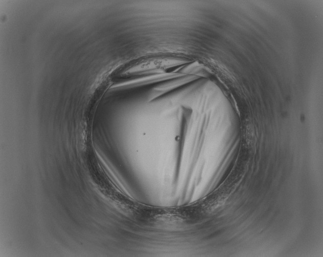 X0000077310544200611101435