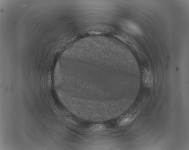 X0000077310551200611101436