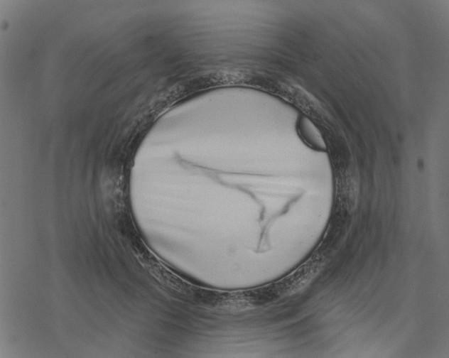 X0000077310553200611101436