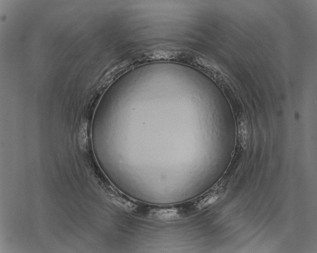 X0000077310554200611101436