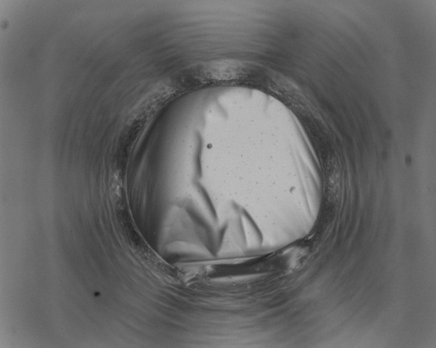 X0000077310555200611101436
