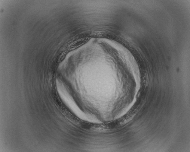 X0000077310557200611101436