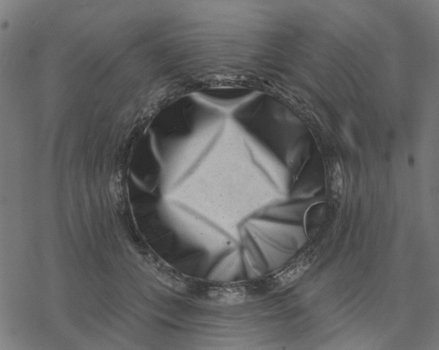 X0000077310559200611101436