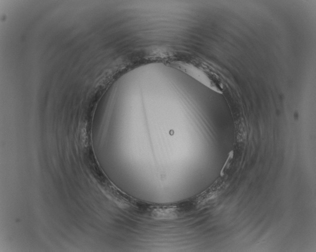 X0000077310560200611101436
