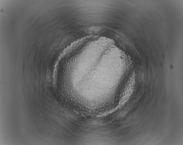 X0000077310561200611101436