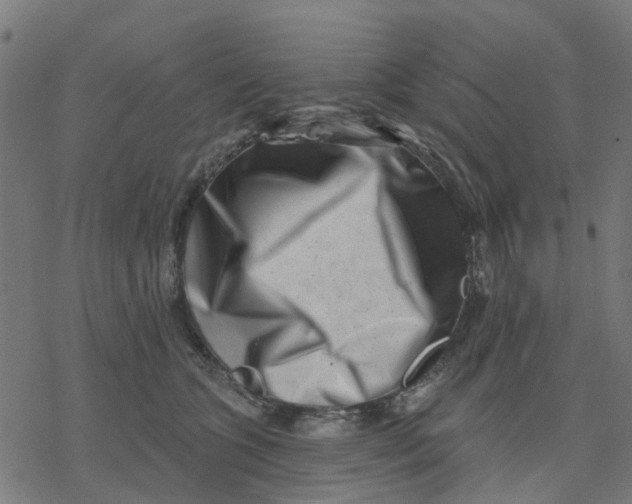 X0000077310563200611101436