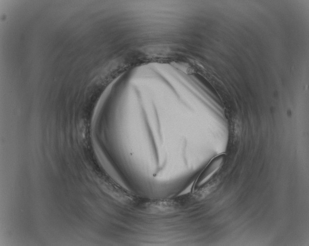 X0000077310567200611101436