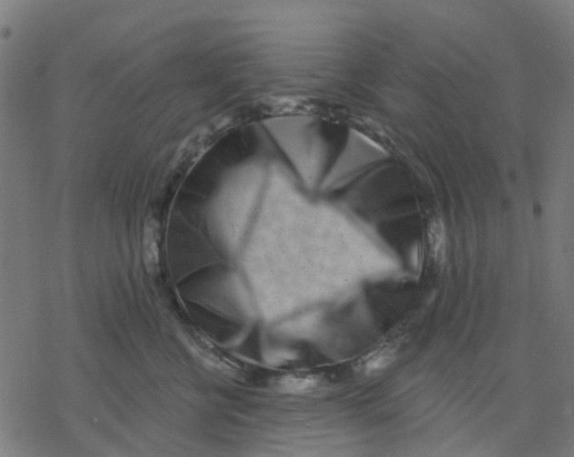 X0000077310570200611101436