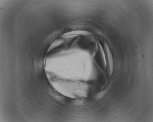 X0000077310574200611101436