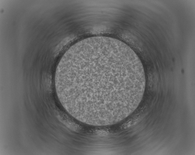 X0000077310592200611101435
