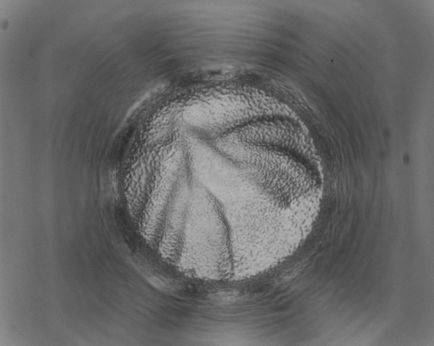 X0000077310598200611101435