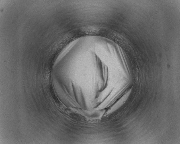 X0000077310604200611101435