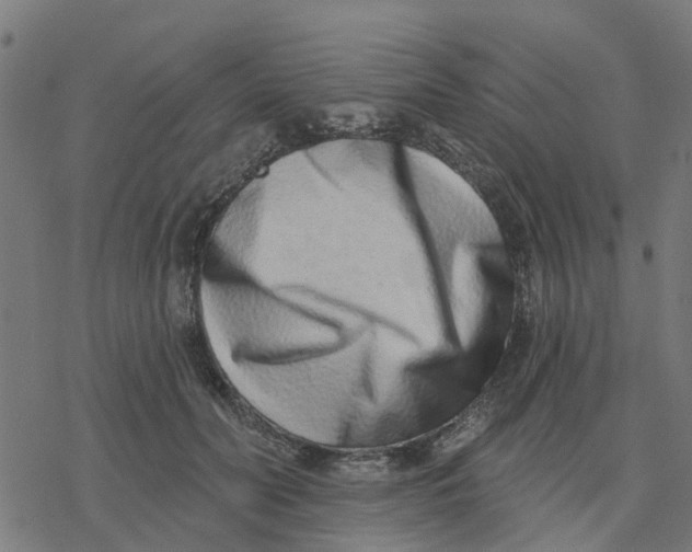 X0000077310606200611101435
