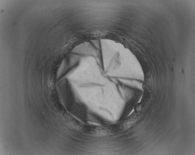 X0000077310608200611101435