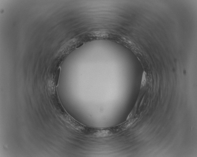 X0000077310609200611101435