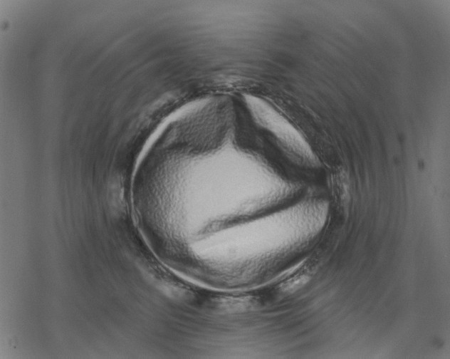 X0000077310615200611101435