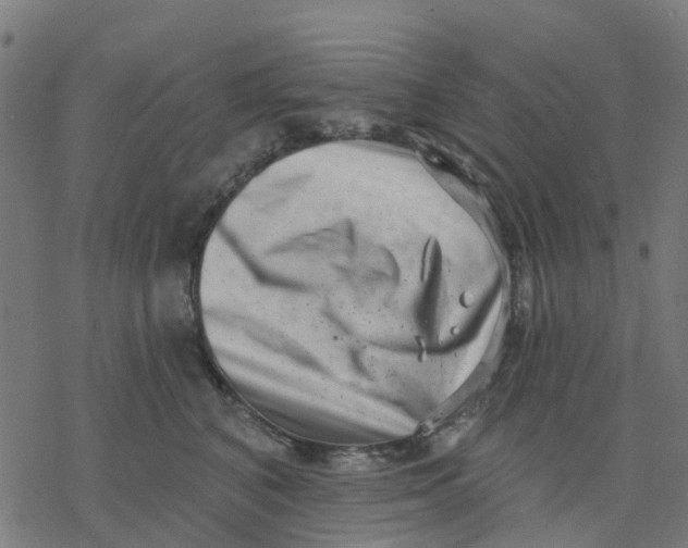X0000077310616200611101435