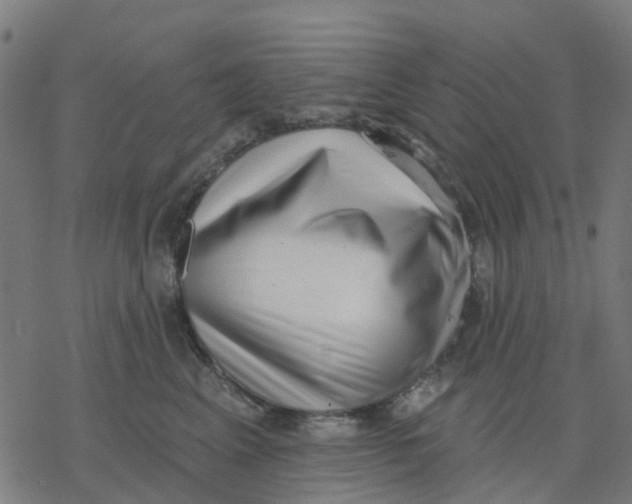 X0000077310617200611101435