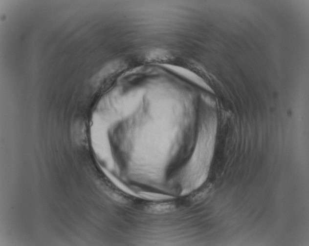 X0000077310619200611101435