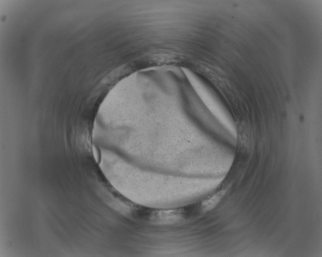X0000077310622200611101434