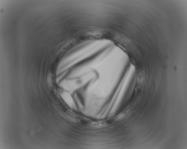 X0000077310623200611101434