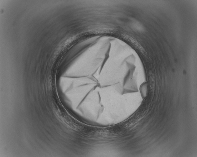 X0000077310631200611101434