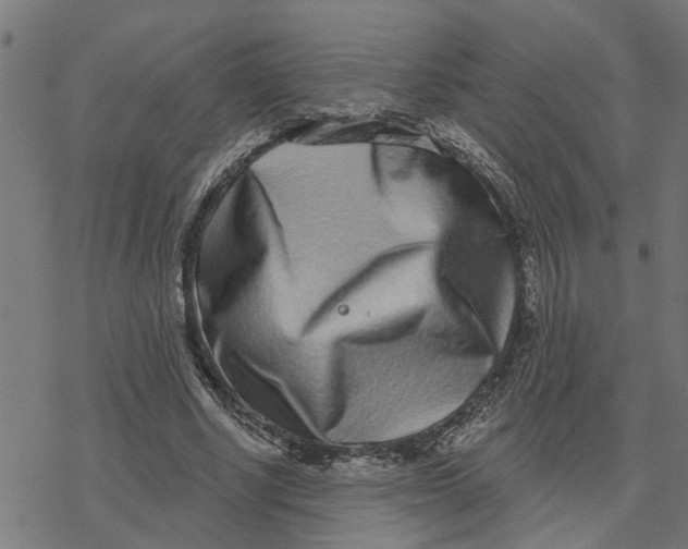 X0000077310634200611101434