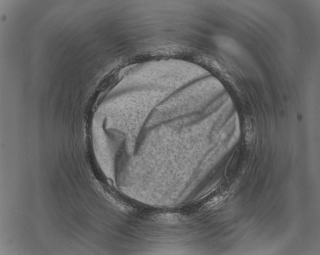 X0000077310637200611101434
