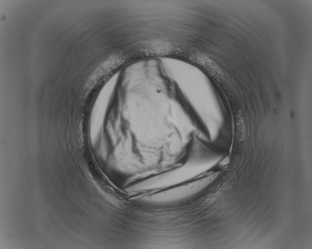 X0000077310638200611101434